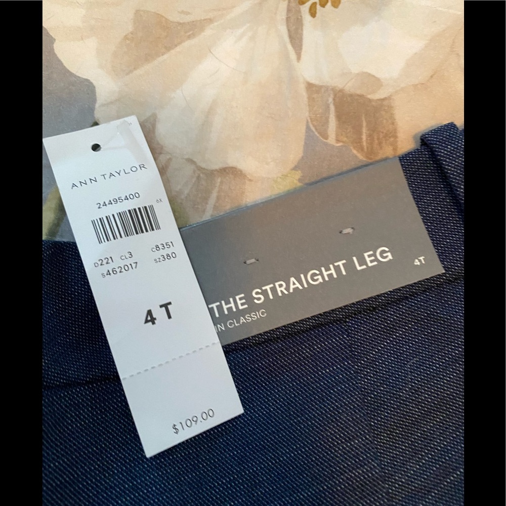 Ann Taylor Dress Pant